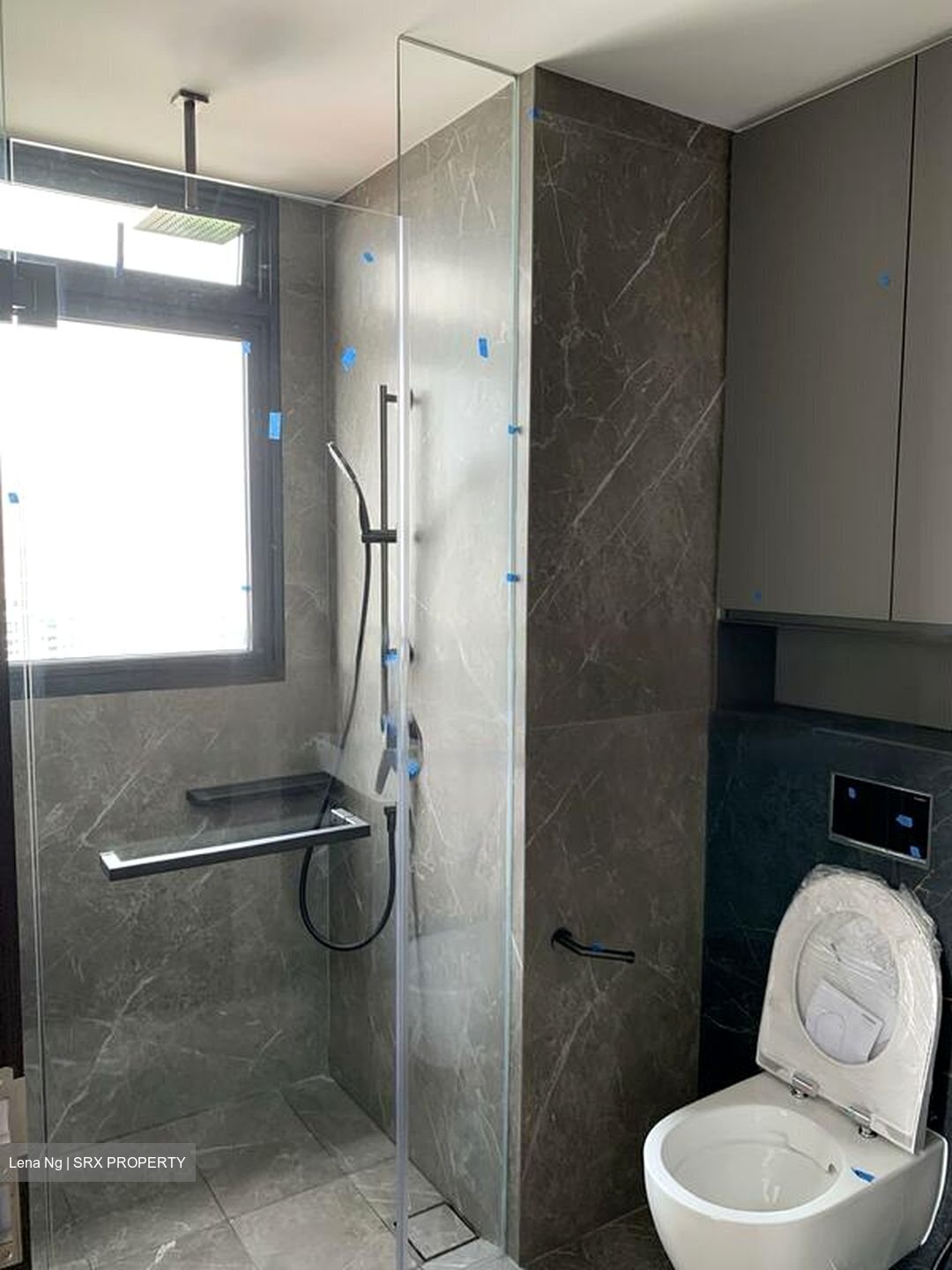 Irwell Hill Residences (D9), Apartment #456704171